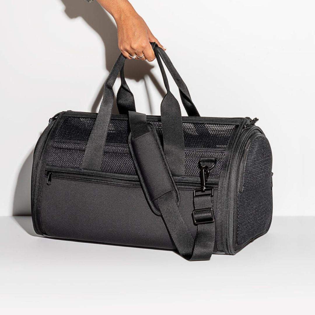 Pet Carriers & Travel Accessories - Lightweight & Airy Design | DUDEBUYMETHAT