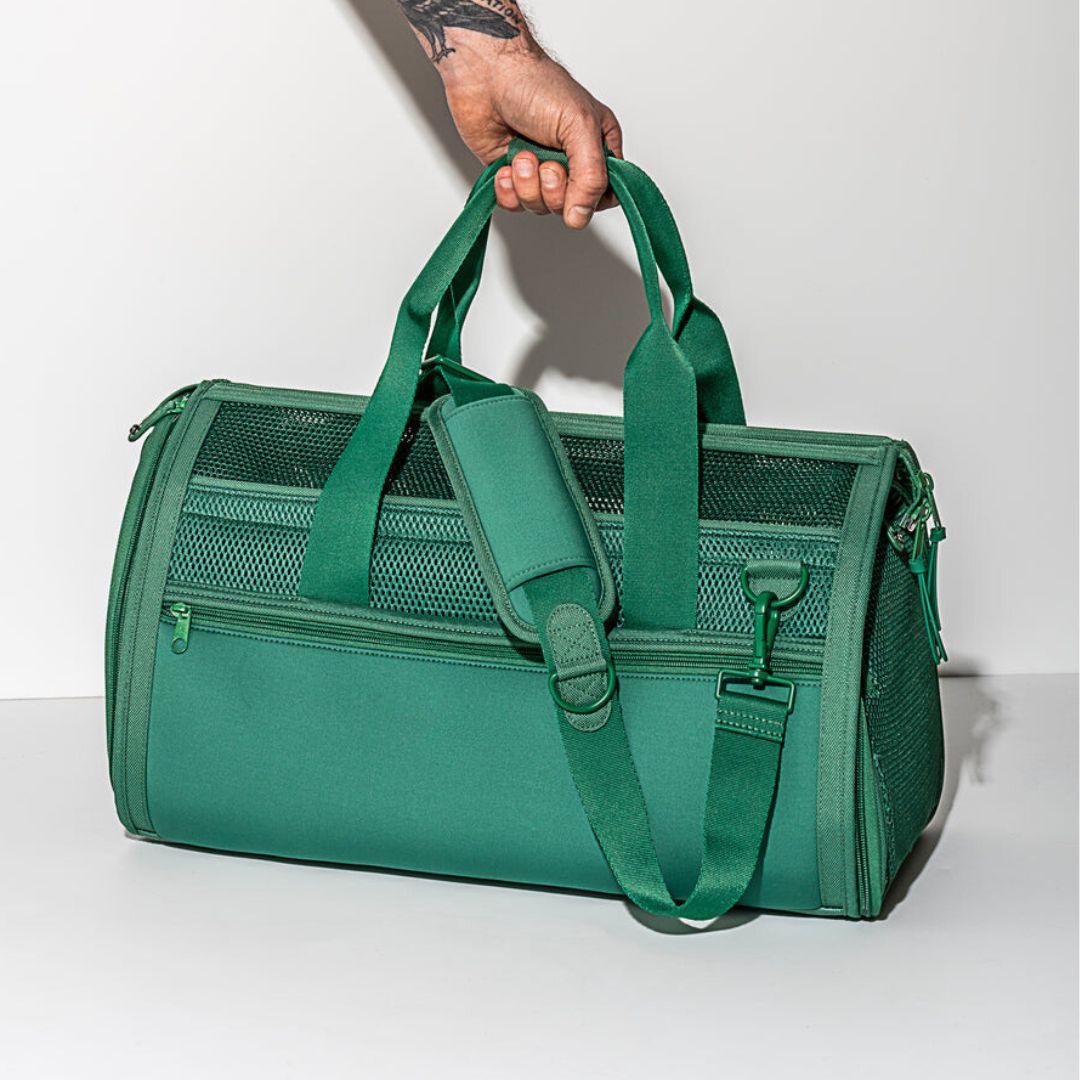 Pet Carriers & Travel Accessories - Lightweight & Airy Design | DUDEBUYMETHAT
