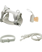 No-pull dog harness and leash set - Silver color
