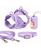No-pull dog harness and leash set - Mauve color