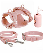 No-pull dog harness and leash set - Desert Sand color